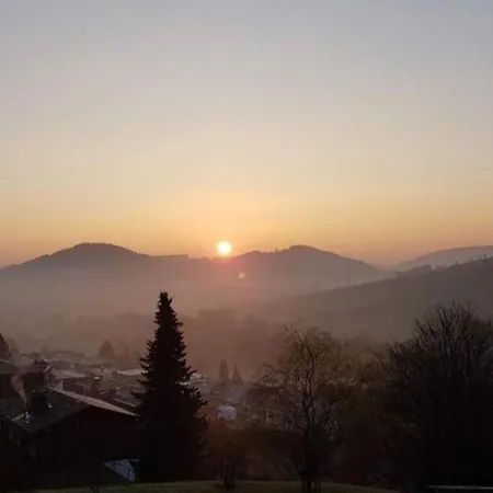 Kohlerhagen In Appartement Willingen (Upland)